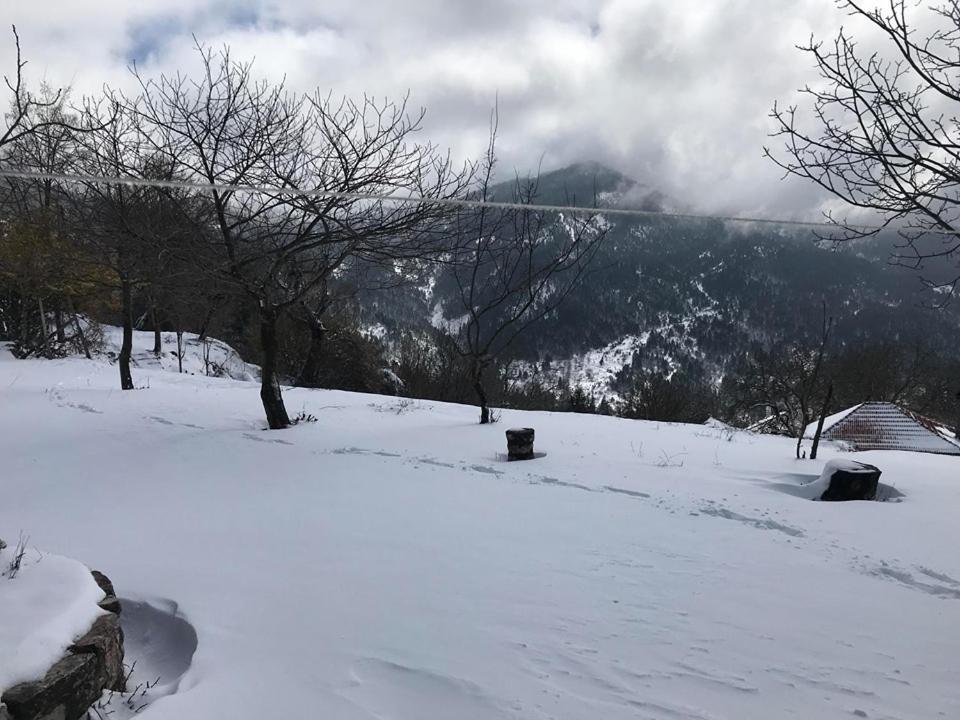 Mikro Katafygio Stavli 외부 사진